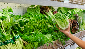 Grocery_300x175_salat
