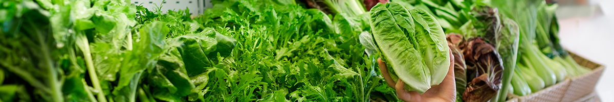 Grocery_hero_1200x200